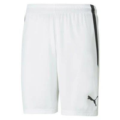 Image of PUMA Teamliga Shorts Unisex Adult