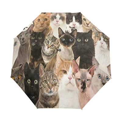 Image of HMZXZ RXYY Cute Animal Cat Folds Auto Open Close Umbrella for Women Men Boys Girls Windproof Compact Travel Lightweight Rain