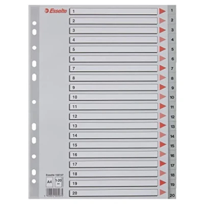 Image of Esselte Address Book with Buttons 1 20, Size A4, Extra Large, Grey, Dividers in Robust Polypropylene Index Page, 100107
