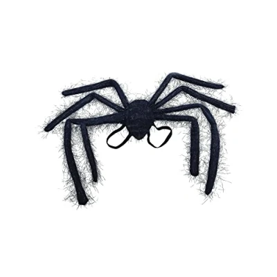 Image of Bristol Novelty BA945 Spider Wing, Womens, Black, One Size