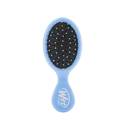 Image of WetBrush Mini Detangler Brush With Ultra Soft Intelliflex Bristles to Gently Separate Knots Ease, Wet Is Gentle on Hair, Suitable For All Hair Types, Sky