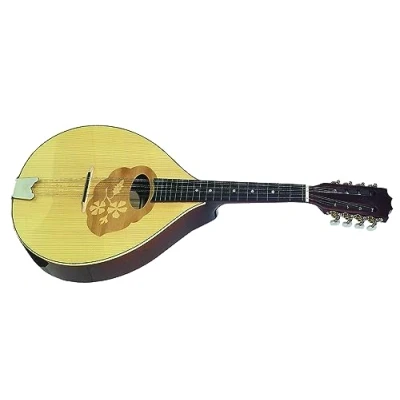 Image of GEWA Mandola Pro Arte High gloss