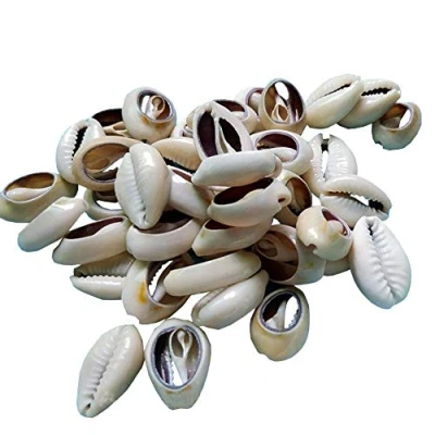 Image of HugeDE 100 Pcs Natural Cowrie Shells Beads Oval Beach Seashells African for Hair Jewelry Making DIY Craft