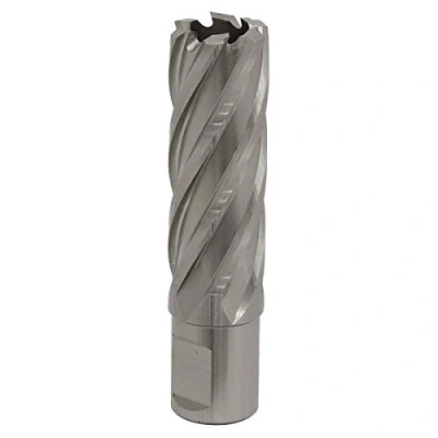 Image of Worksafe Rotabor Cutter HSS Ø22mm Cut Depth 50mm