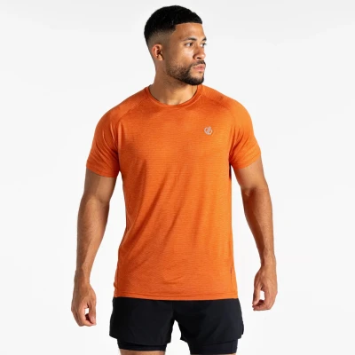 Image of Dare 2b Men&#039;s Lightweight Persist T Shirt Spicy Route Marl, Size: XL