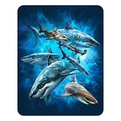 Image of 3D LiveLife Magnet Shark Swim from Deluxebase. Lenticular Ocean Fridge Magnet. Magnetic decor for kids and adults with artwork licensed renowned artist, Tami Alba