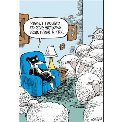 Image of Woodmansterne Blank Humorous Card Sheep Dog Working From Home Funny Card, for Him/for Her