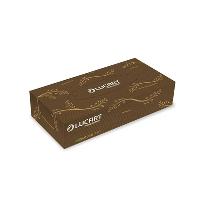Image of Lucart 100 Pcs Facial Tissue