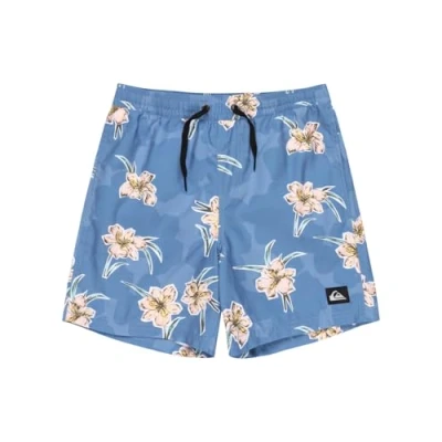 Image of Quiksilver Everyday Straight Volley Swimming shorts, Men&#039;s, Size: 16t, Backyards coronet blue
