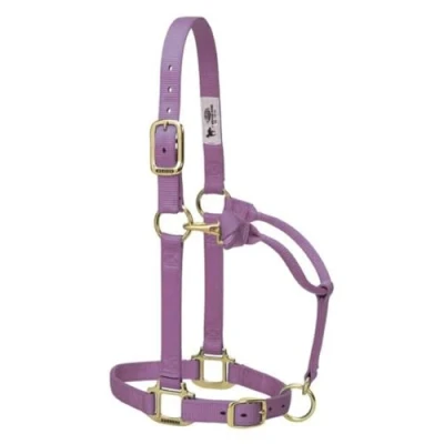Image of Weaver Leather Original Adjustable Nylon Horse Halter, Yearling, Lavender