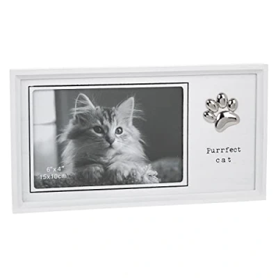 Image of Write Type Frame Cat