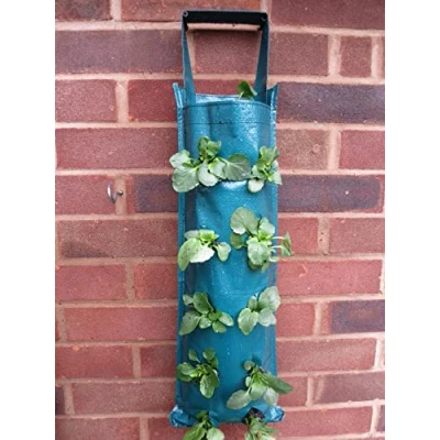 Image of Hanging Garden Strawberry Tomato Flower Fabric Pouches Planters &amp; Bags (Green) Pack of 2