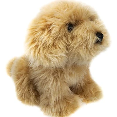 Image of VFM Labradoodle Dog Soft Toy Plush Teddy, Cavapoo, Cockapoo, Labradoodle, Cuddly Dog, Teddy Bear Premium 18cm Biscuit