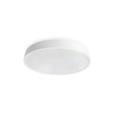 Image of Astra Non Dimmable 18W LED Wall/Ceiling Light Collingwood