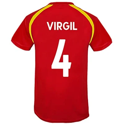 Image of Liverpool FC Mens Virgil 4 Poly T Shirt Red LFC XXL
