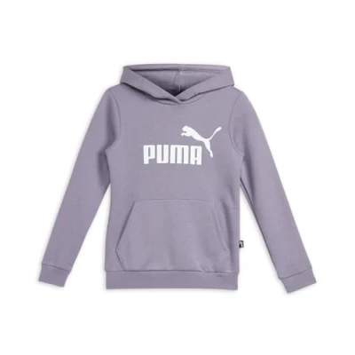 Image of PUMA ESS Logo Hoodie FL G