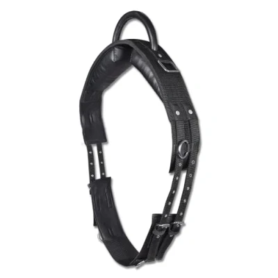 Image of Waldhausen Lunging belt with handle Shetland Black