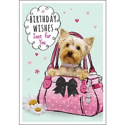 Image of Piccadilly Greetings Cute Birthday Card 7 x 5 inches