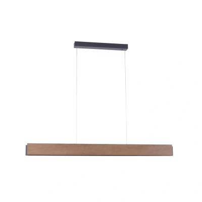Image of Paul Neuhaus Palma LED hanging light CCT up/down