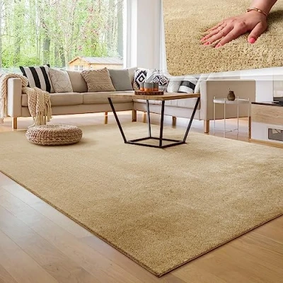 Image of Paco Home Living Room Rug Fluffy Washable in Short Pile Soft, Size:80x150 cm, Colour:Beige