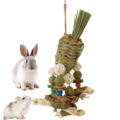 Image of CAMITER Cage Hanging Hamster Chew Toys, Natural Bunny Boredom Breaker Treats Rattan Ring with Snacks Grass Ball Toy Carrot for Bunnies Chinchilla,Guinea Pig,Hamster,Parrot
