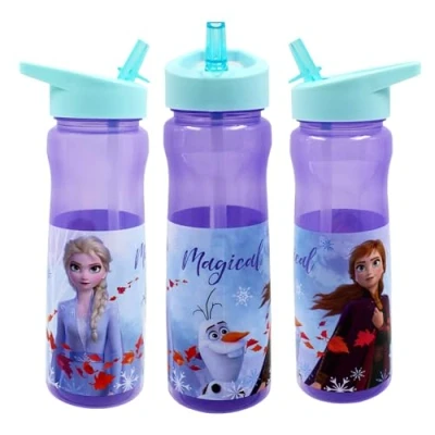 Image of Disney Frozen II 600ml Sports Bottle