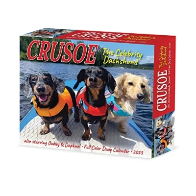 Image of Crusoe the Celebrity Dachshund 2023 Calendar