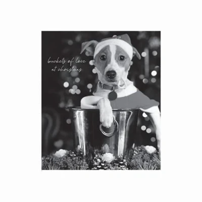Image of Christmas Card From The Dog, Cute Dog Cards, Card, Generic Cards