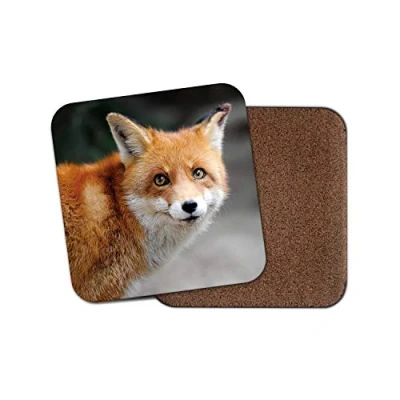 Image of 1 x Ginger Fox Drinks Coaster Wild Animal Urban Foxes Cute Pretty #8584