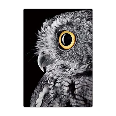 Image of Passport Holder Cover, PU Leather Travel Wallet Case Organiser for Passport, Business Cards, Credit Boarding Passes (Owl)