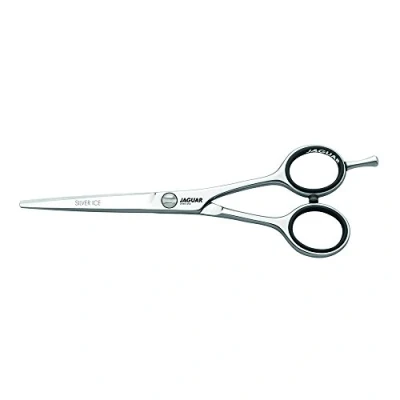 Image of Jaguar White Line Silver Ice Classic Hairdressing Scissors, 6.0 Inch Length, Silver, 0.031 kg 4030363100372