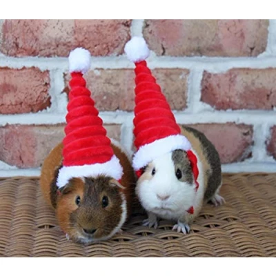 Image of Pet Christmas Hat Rabbit Hamster Guinea Pig Rats Kitten Small Animals Outfit (Red Hat)