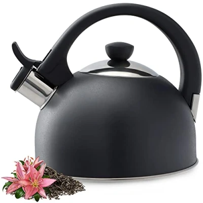 Image of KADAX Stainless Steel Water Kettle, 1.7L Tea Kettle for All Types of cookers, Retro Flute (Anthracite)
