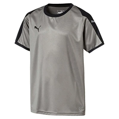 Image of PUMA Kid&#039;S Liga Jersey Jr T Shirt, Steel Grey/Black, Size 152