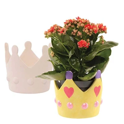 Image of Baker Ross Coronation Crown Ceramic Flowerpots Pack of 2, Craft Kits for Kids (FE296)