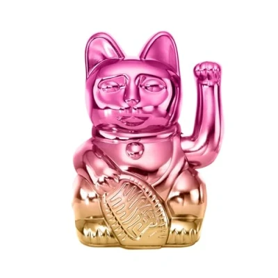 Image of DONKEY Lucky Cat Gaming Player Two
