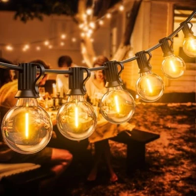 Image of LUCUHM 30M 100FT Festoon Lights Outdoor LED Garden String Mains Powered Light Waterproof for Patio Gazebo Balcony Outside