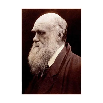Image of Wee Blue Coo Photo Portrait Cameron Naturalist Charles Robert Darwin Wall Art Print