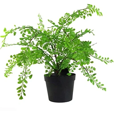 Image of Leaf Design UK Realistic Large Artificial FOLIAGE Plant with Pot Palm, 50cm, AZ