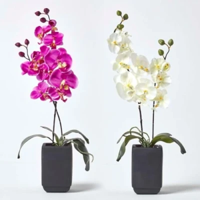 Image of HOMESCAPES Set of 2 Artificial Cream &amp; Pink Orchids in Black Ceramic Pot with Lifelike Leaves Buds Faux Plant for Indoor Decoration