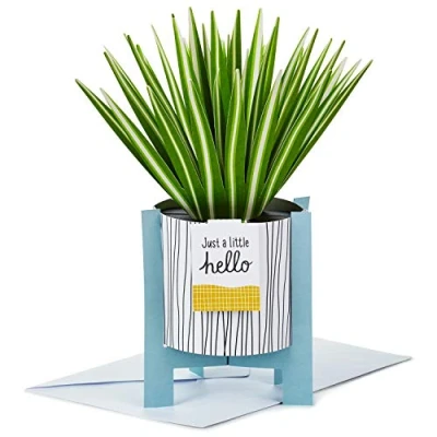 Image of Hallmark Pop Up Card Contemporary Spider Plant Design