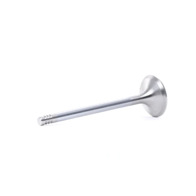 Image of 090410813 Exhaust Valve BGA V029354 29mm OPEL: Astra G Convertible, Zafira B, VAUXHALL: Mk5, CHEVROLET: Lacetti Hatchback