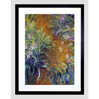Image of Wee Blue Coo Claude Monet Irises Old Master Art Picture Framed Wall Print