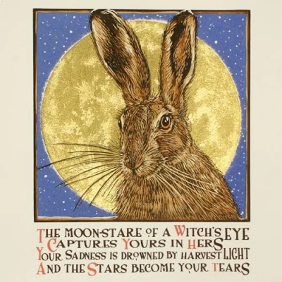 Image of Brown Hare and Golden Moon themed greeting card, blank on the inside by Colin Blanchard. fleck envelope included