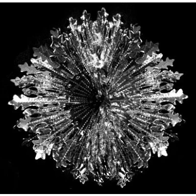 Image of Toyland Silver Ball Foil Festive Christmas Decoration Indoor Accessories