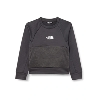 Image of THE NORTH FACE Athletics Sweatshirt Grey 020 6 Years