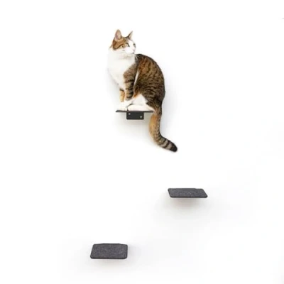 Image of LucyBalu® Steps Cat Stairs Wall Indoor and Outdoor Set of 3 Climbing Park for Cats up to 7 kg Ladder Non Slip Coating Mounting 18 x cm Anthracite