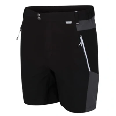 Image of Regatta Mens Mountain Boy Shorts, Black/Magnet, 44