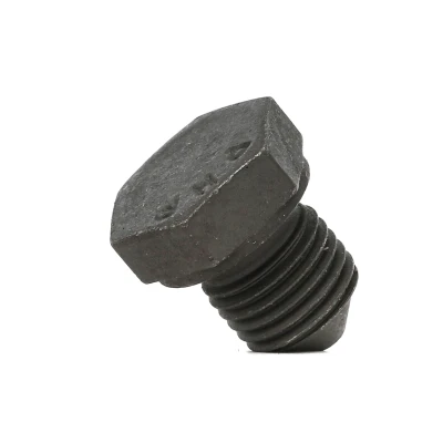 Image of N0161552, N0161554, N90288901, N91288901 Drain Plug FEBI BILSTEIN 48873 Steel 19 without seal ring SKODA: Citigo Hatchback, Fabia III Hatchback