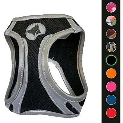 Image of CROCI Hiking Harness Reflective, Medium